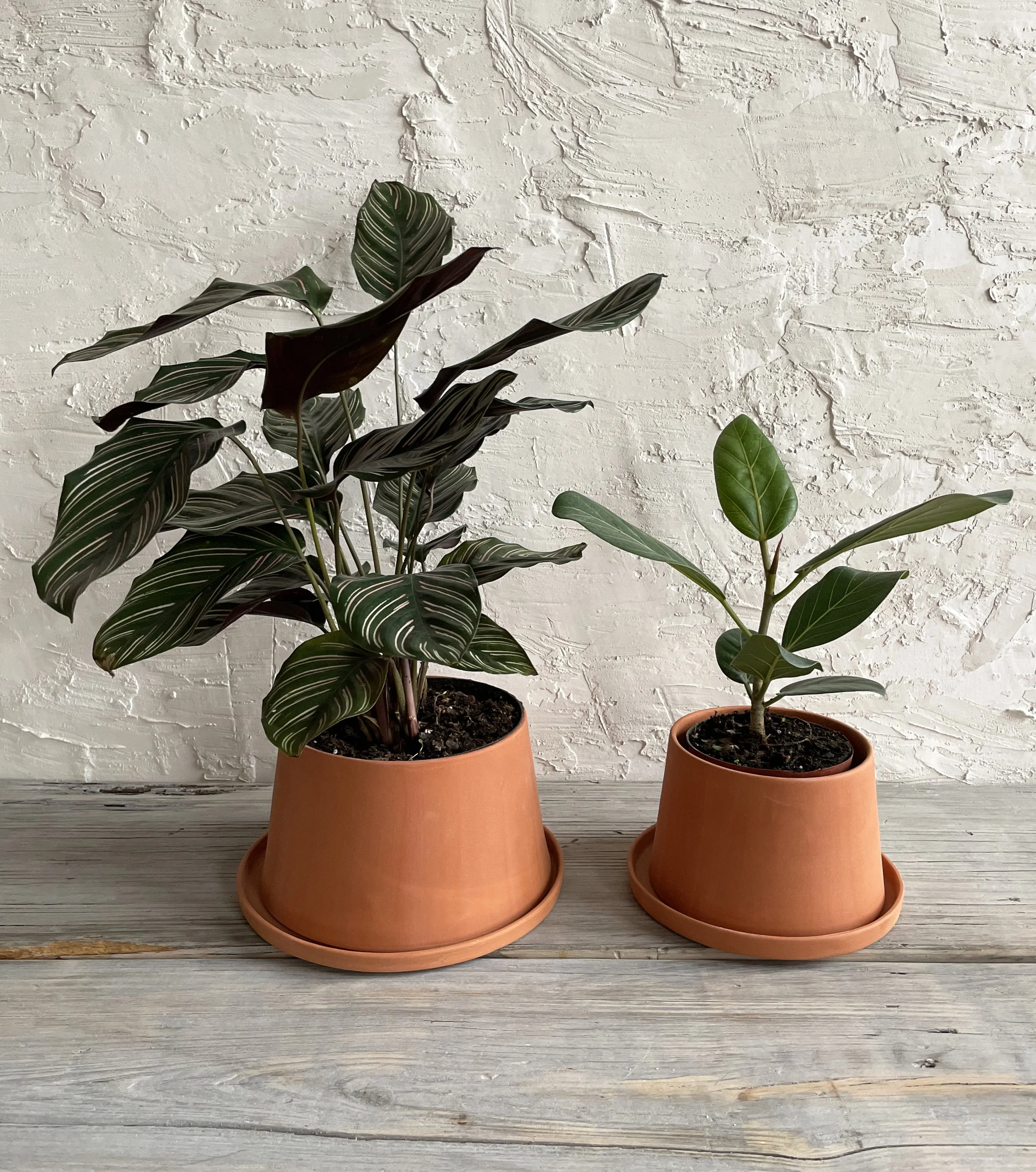 Tapered Planter: Large — MICHIKO SHIMADA